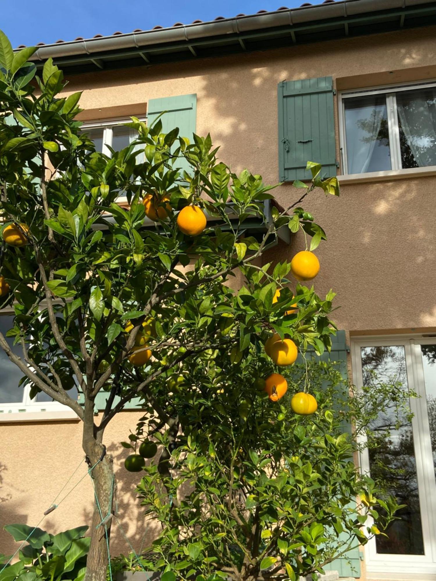 Le Relais Des Malettes Chambres D'Hotes B&B Francheville  Εξωτερικό φωτογραφία