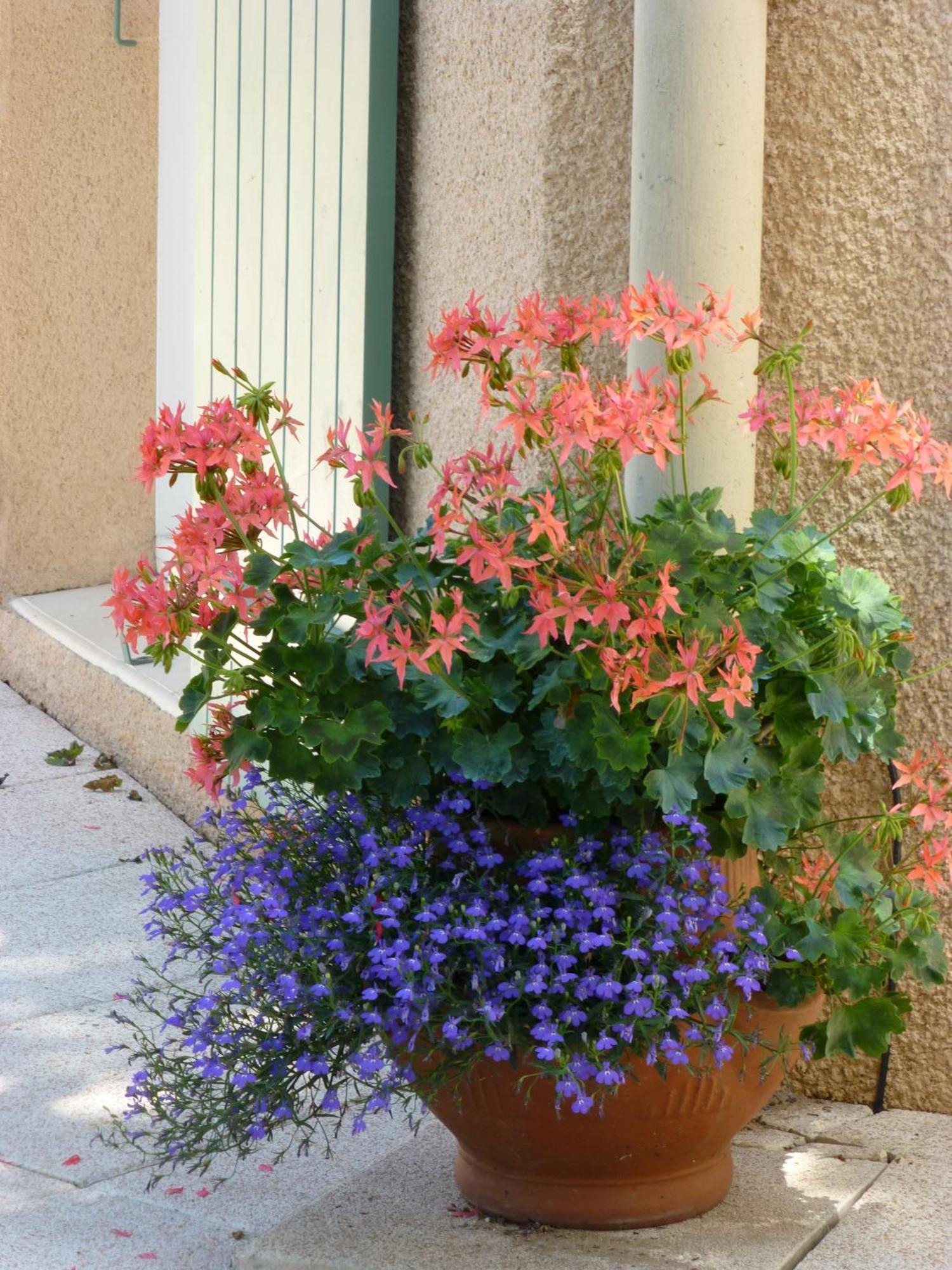 Le Relais Des Malettes Chambres D'Hotes B&B Francheville  Εξωτερικό φωτογραφία