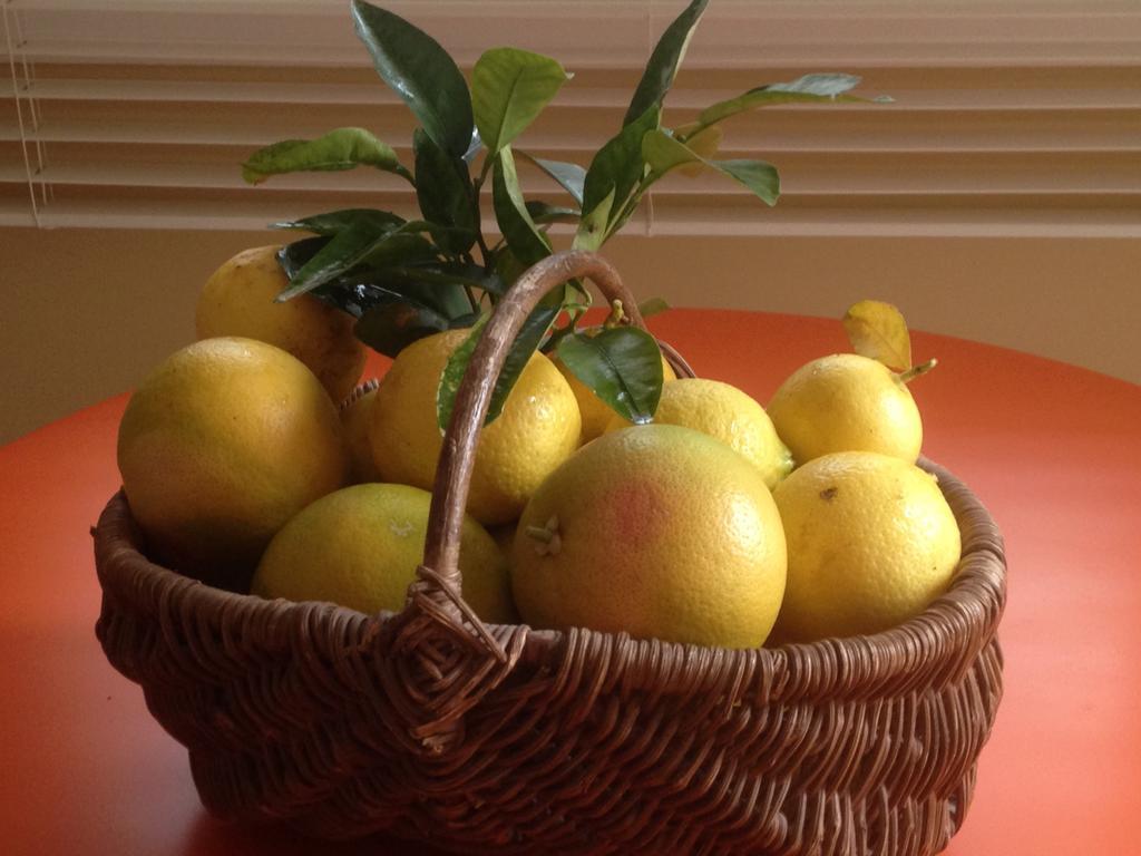 Le Relais Des Malettes Chambres D'Hotes B&B Francheville  Εξωτερικό φωτογραφία